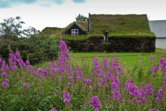 buildings800_dsc01935