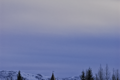 buildings800_dsc4326