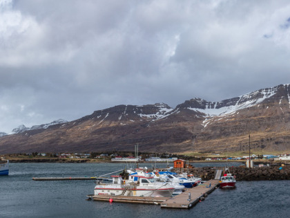 IMG_7387-Pano