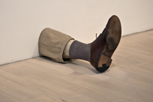 Растения Исландии