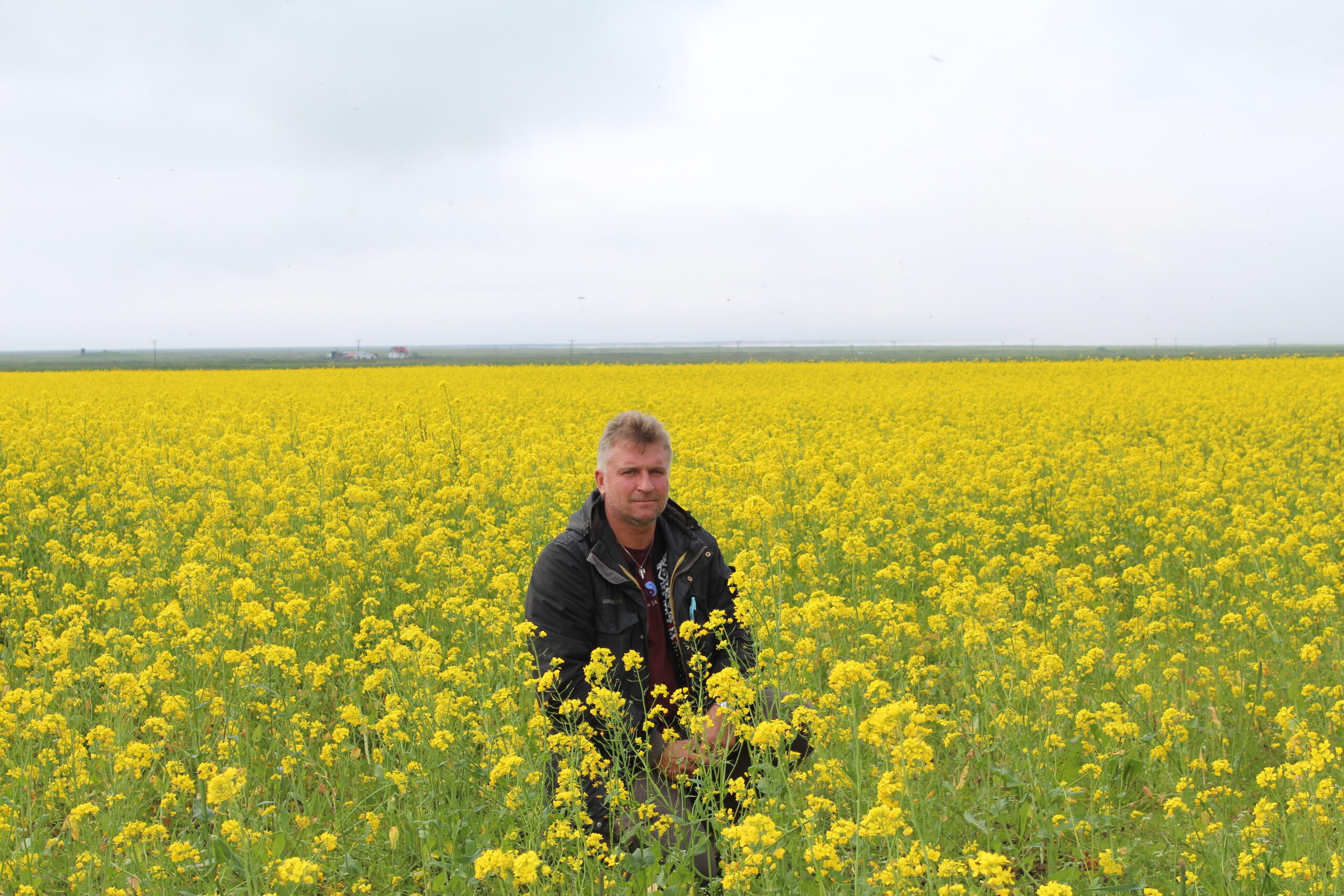 В Исландию не прилетели тупикиПоэма, перетекающая в прозу