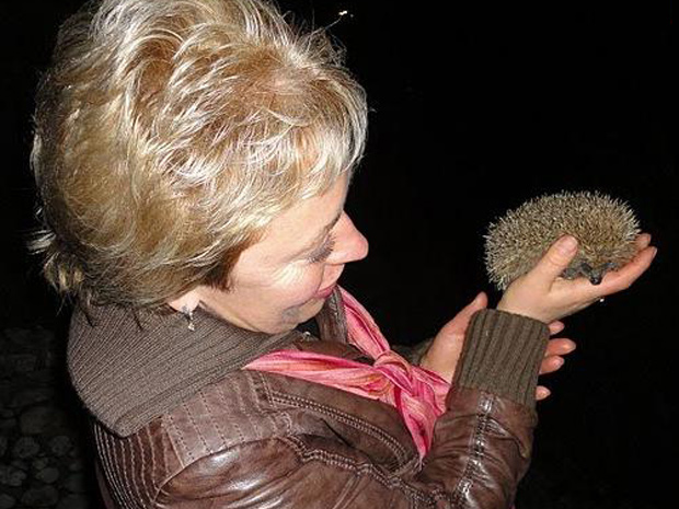 2 февраля: День ЁжикаФевральские тезисы