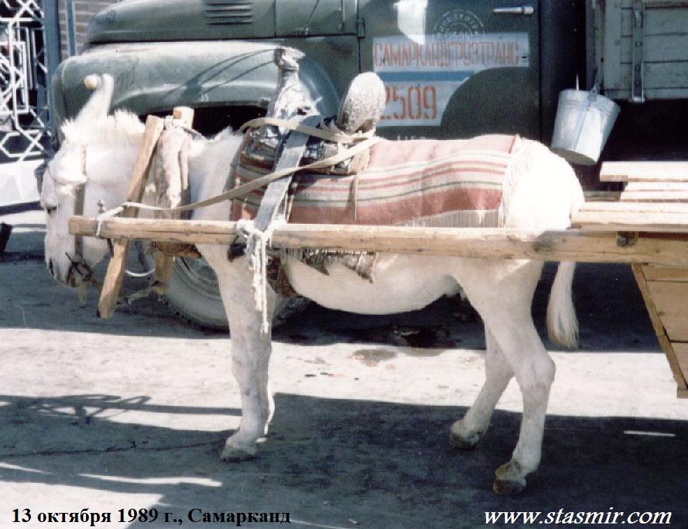 Про глобализациюДань уважения Мих. Зощенко