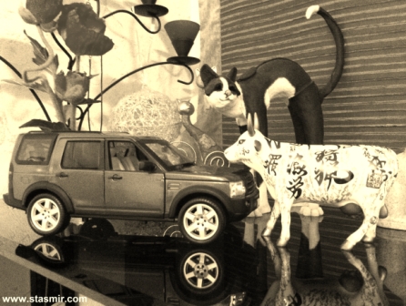 Полет панка и шаломничество шмеляСаги