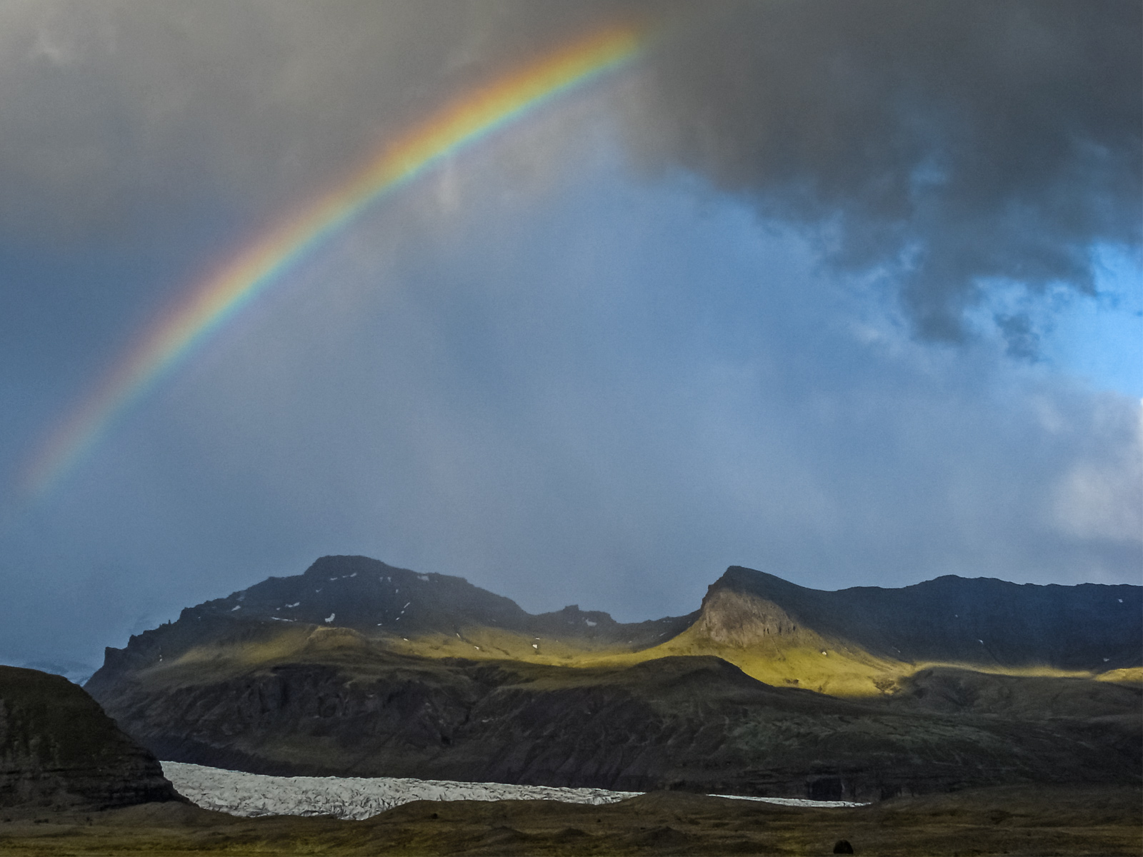 С днем рождения, медвежонок Че!Личное