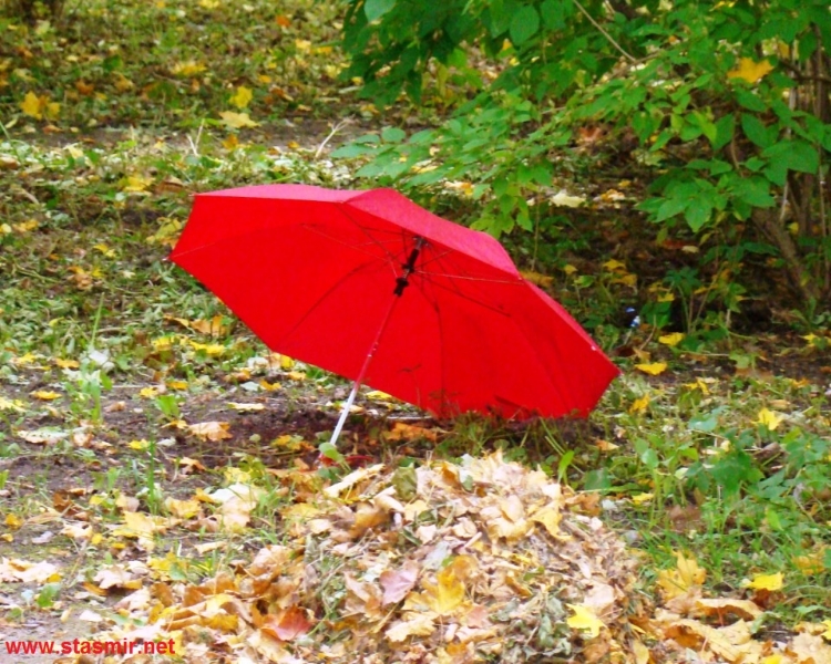 Snow Bunting in Every TuneÁrstíðir í Moskvu