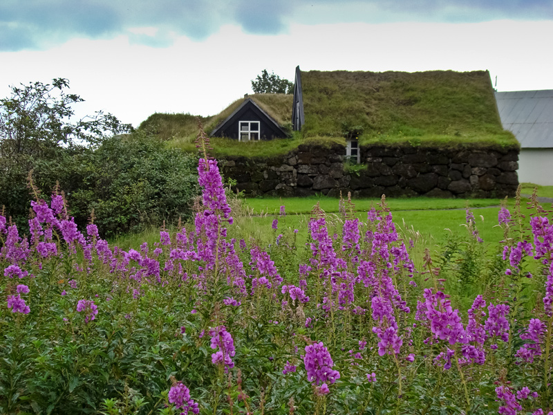 Музей SkógarКраеведческий и увлекательный!