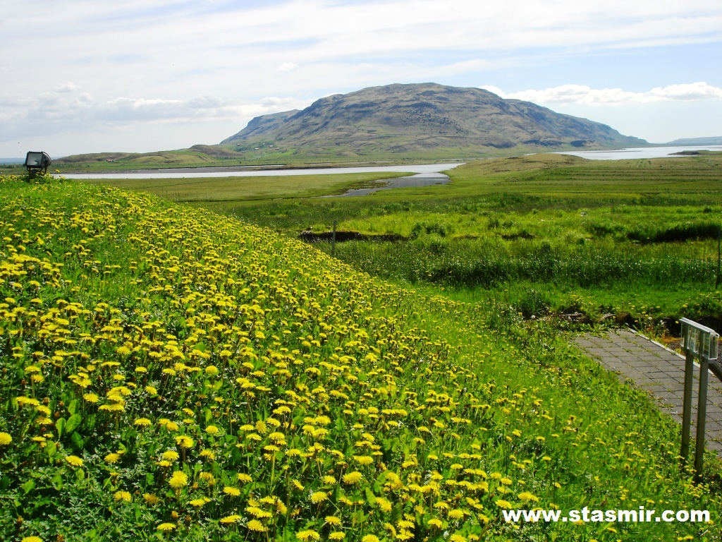 Исландия: от банановой республики к томатной сверхдержаве IЧасть I – «Эдем»: назвался бананом, лезь под лампу!