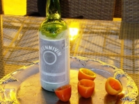 Исландия: от банановой республики к томатной сверхдержаве IIЧасть II – «Фридхеимар»: и родина щедро поила меня томатным шнапсом