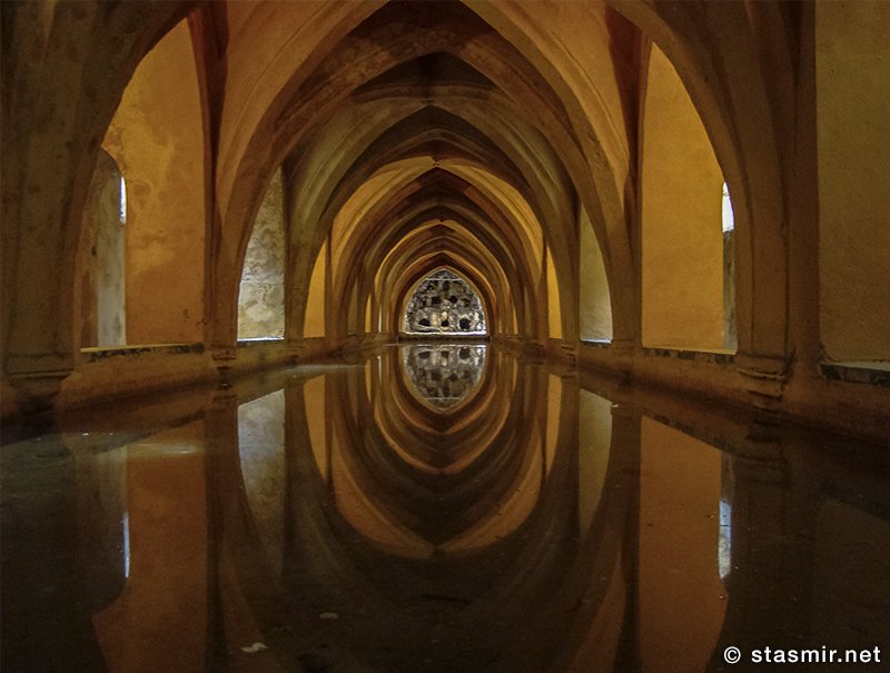 Арабы несут цивилизацию в ЕвропуПортугалия: «Артек» для глобалистов