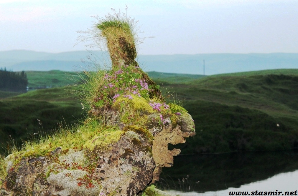 Об исландских лошадках и тех исландцах, кто увяз в долгах, как в конском навозеОдинокий всадник стремится привлечь внимание общественности к проблеме погашения ипотечных задолженностей