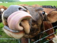 Бирюлёво как местоимениеMy Passive Voice