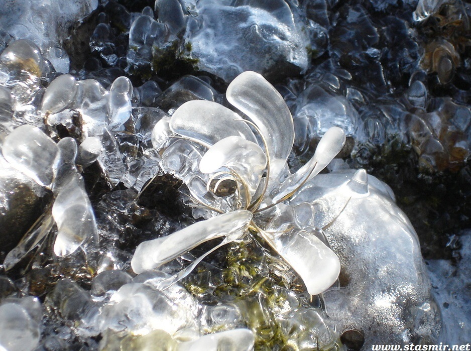 Снорри нам ясен, как ясеневский ясеньСеребряное кольцо Исландии в тусклом свете скандинавской космологии