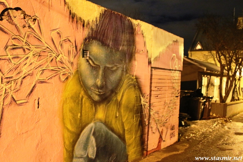 Too Much HopeРейкьявик разбитых фонарей