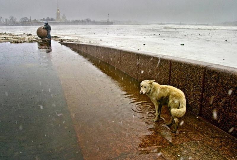 «Airwaves»: от «Sonic Youth» к Panasonic middle age 4Часть IV