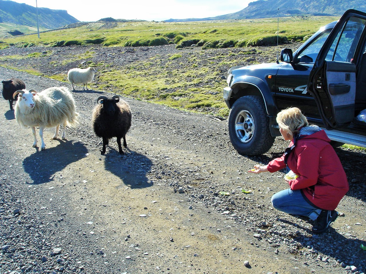 Молчание ягнят IIМы барашки-неговняшки!