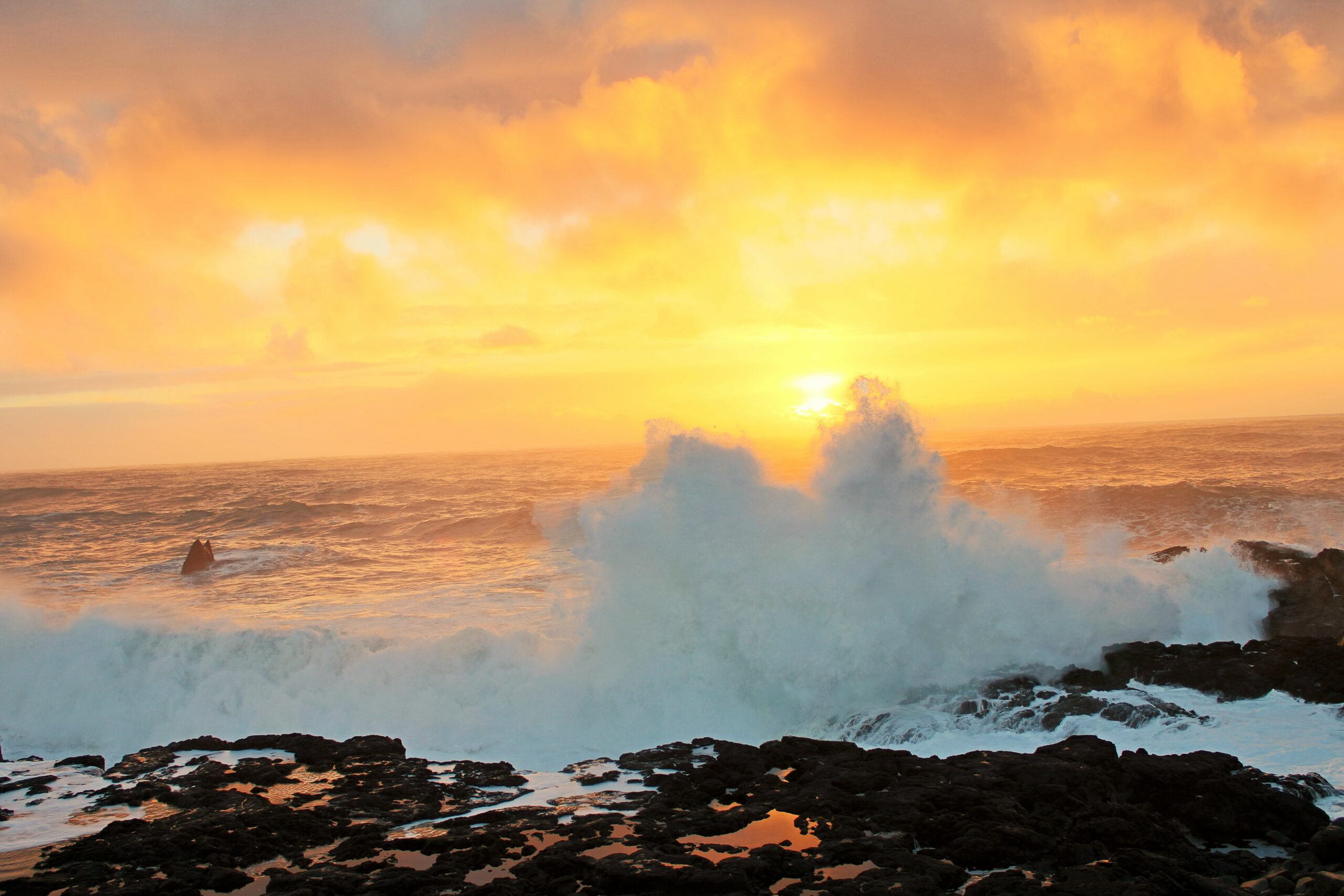 С Новым Годом из Рейкьявика!Blown in the Wind