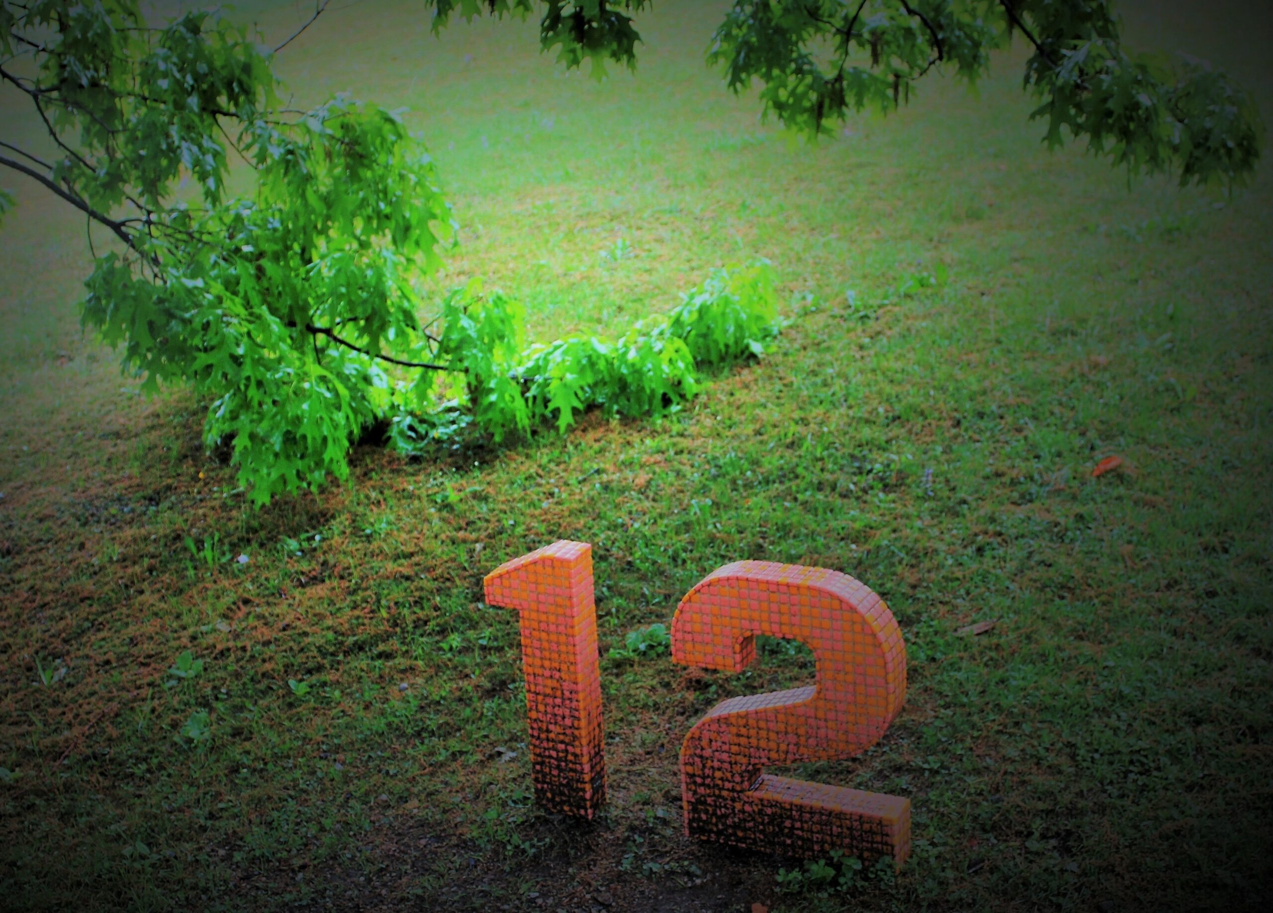 Затертое колено забитого кланаGeordie’s lost his liggie