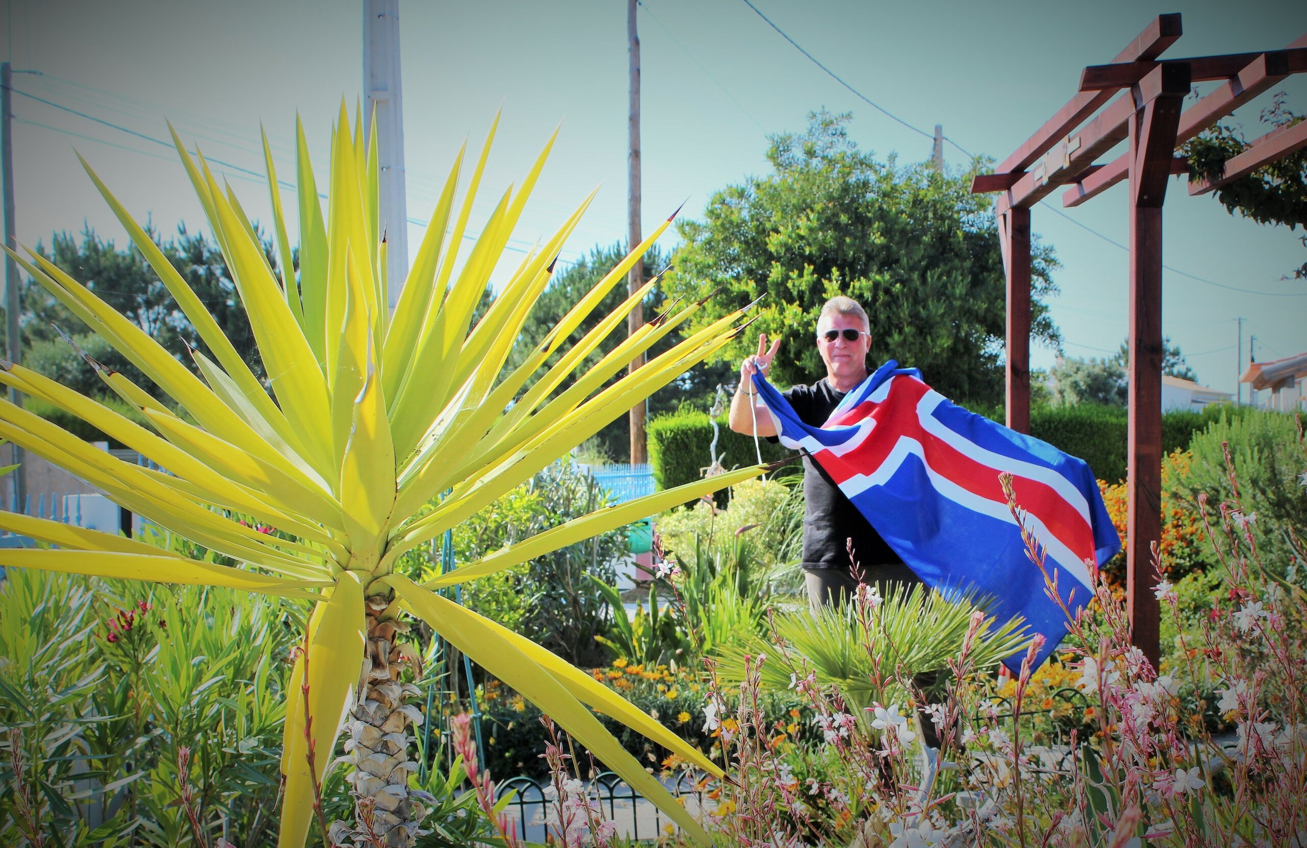 Шоу маст гоу онIcelandVision