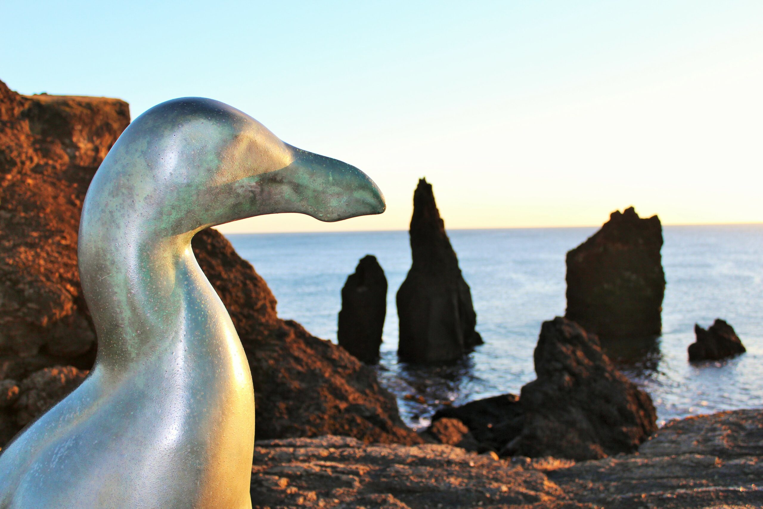 Птичку жалко…Неогагарки атакуют!