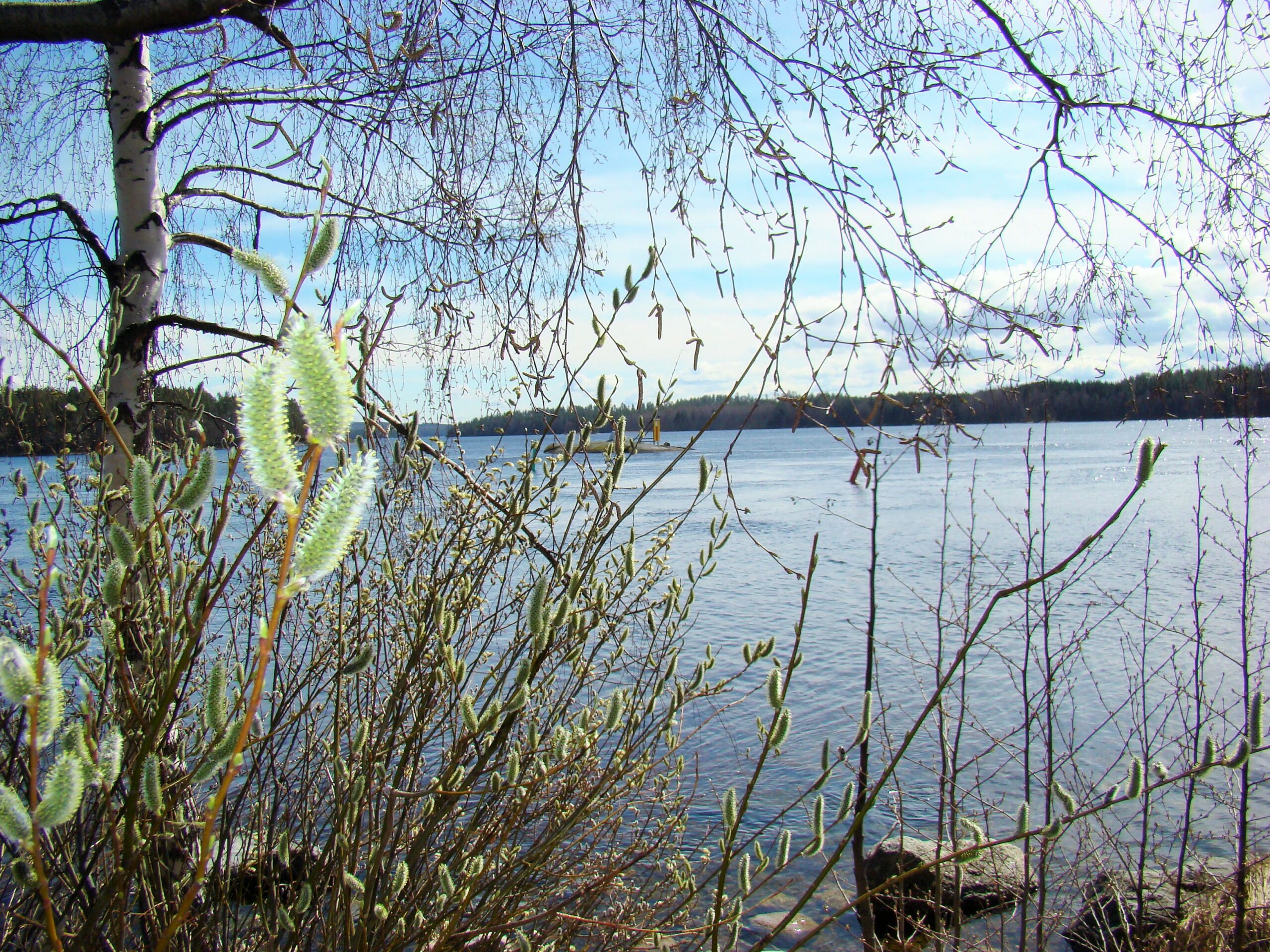 Похоже, она притворяется «заснутой»…О финском языке
