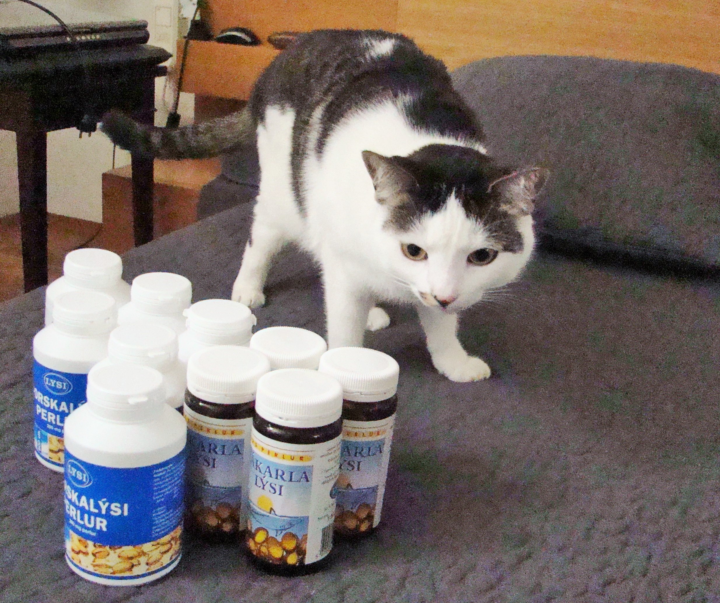 Адвент по-исландскиПятый из Йоласвейнаров