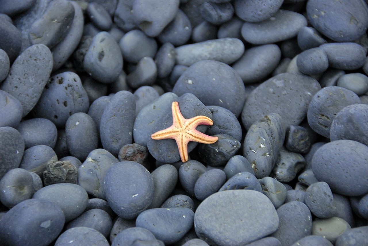 Адвент по-исландскиВторой из Йоласвейнаров