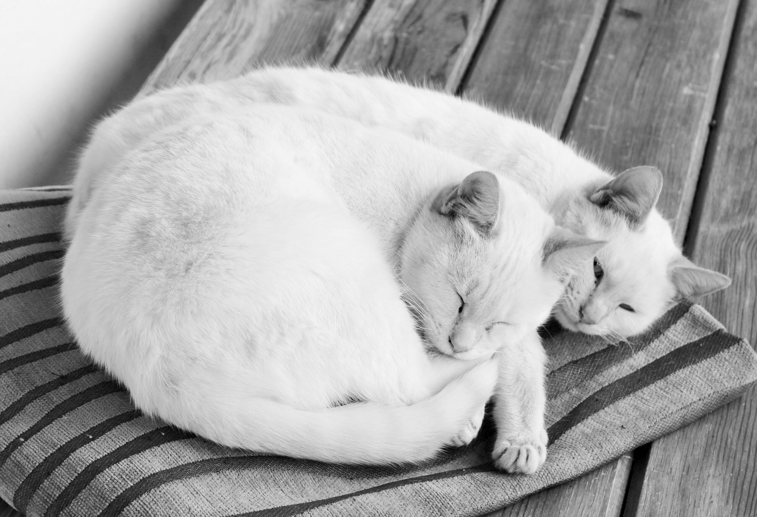 ДниО днях недели