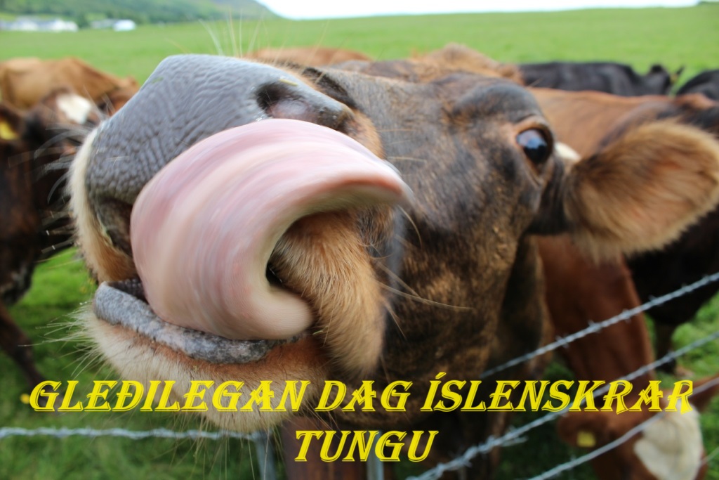 Не óЛогичное мужъяснениеНеоЛогизмы в исландской речи