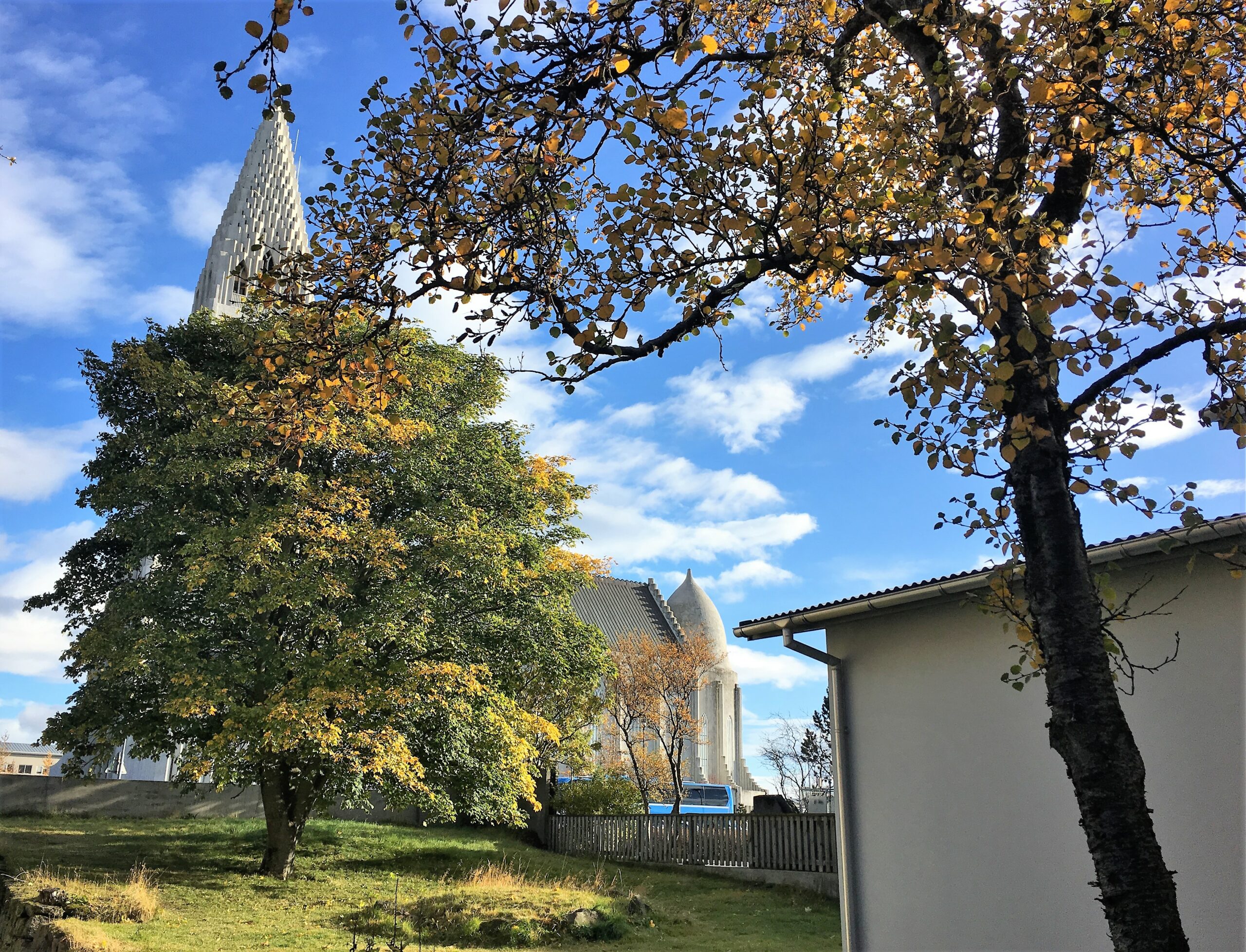 Черный кот РейкьявикДом Грёндаля