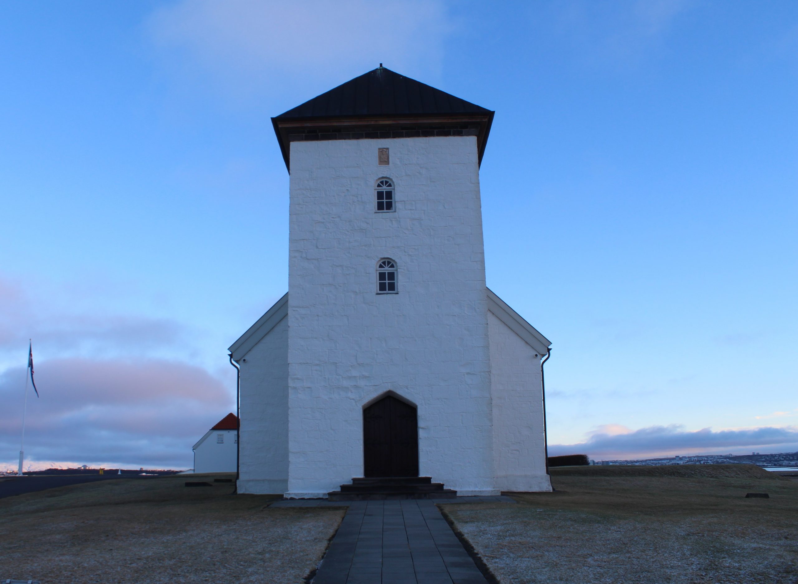 Президент Исландии спас соколаА Вас, садовник Мюллер, я попрошу остаться