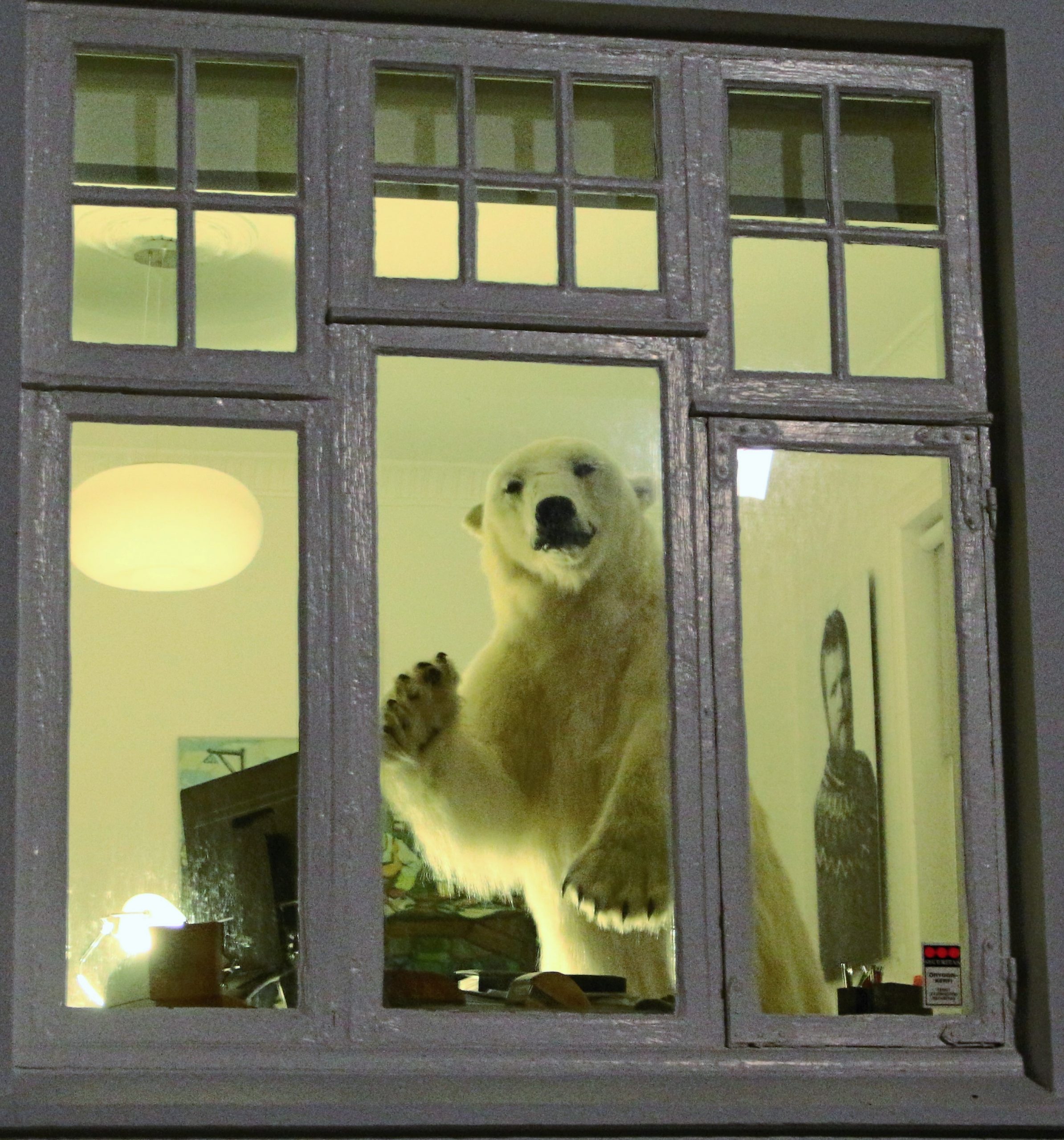 Кроной по доманесидельцам и разгульщикам!Штрафы от 300 до 3000 евро