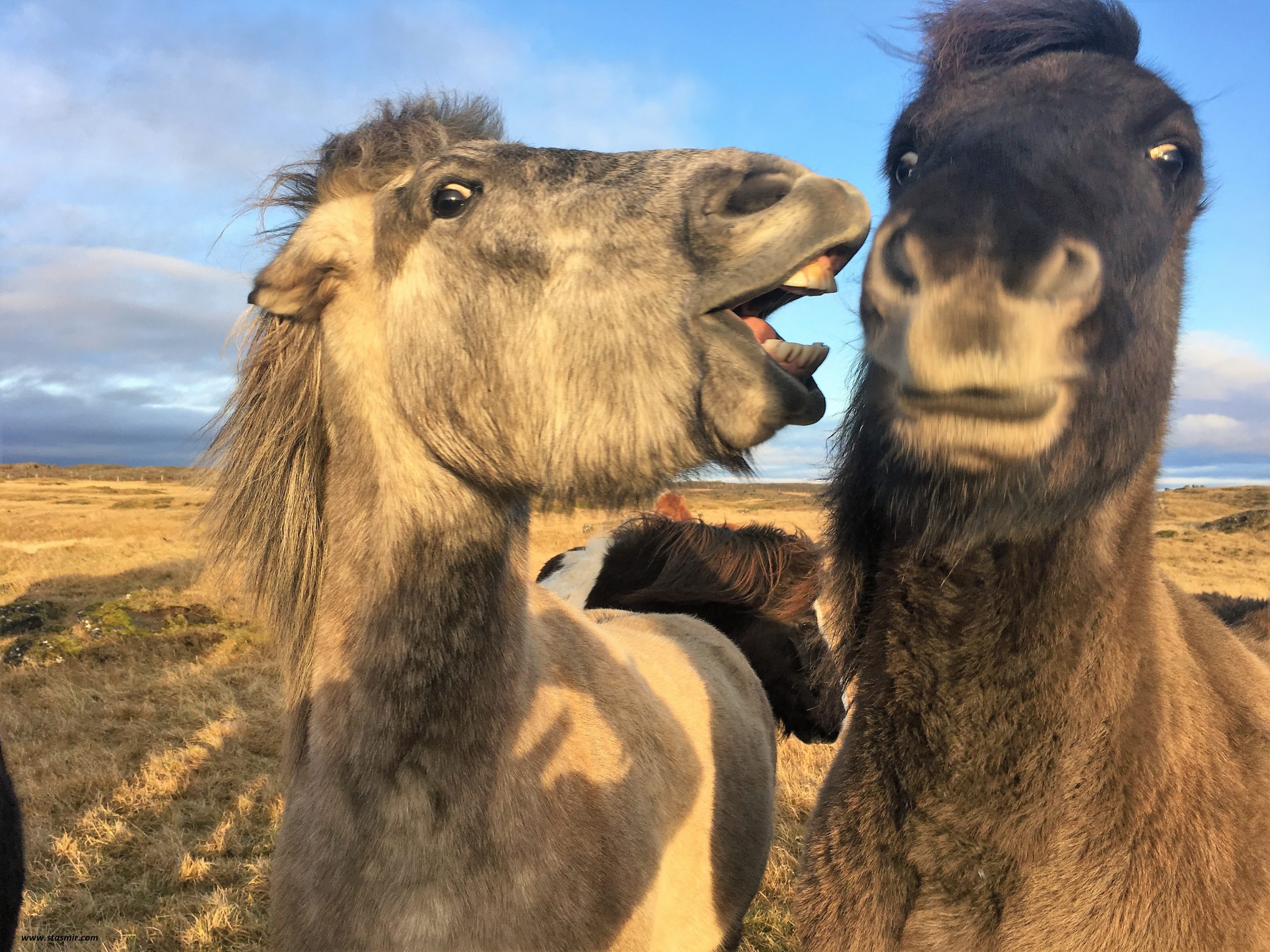 ПостапокалиптикаИмя ледника и полночное небо