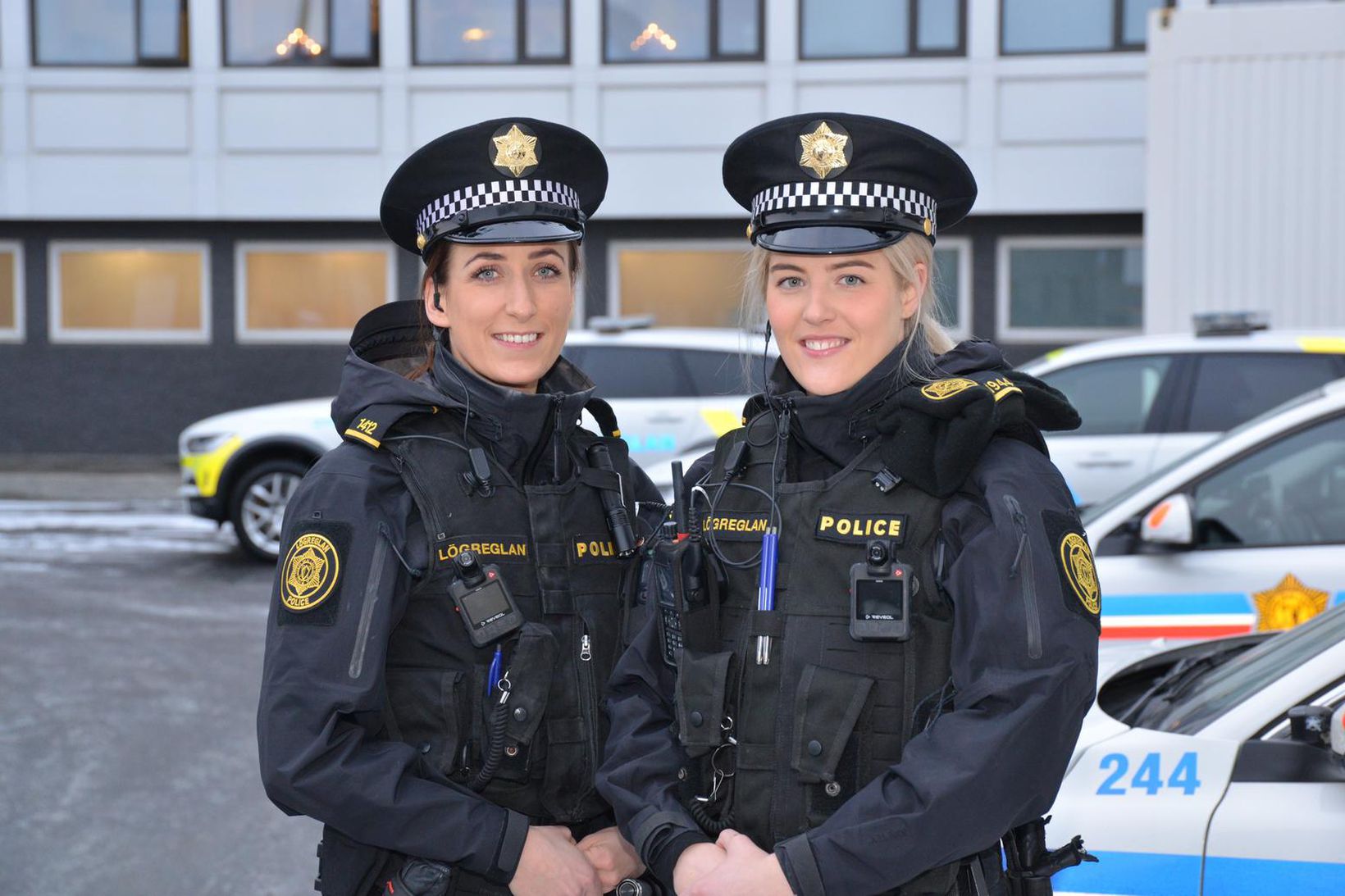 Министр, где не надо, полиция в храмеРождественская Исландия