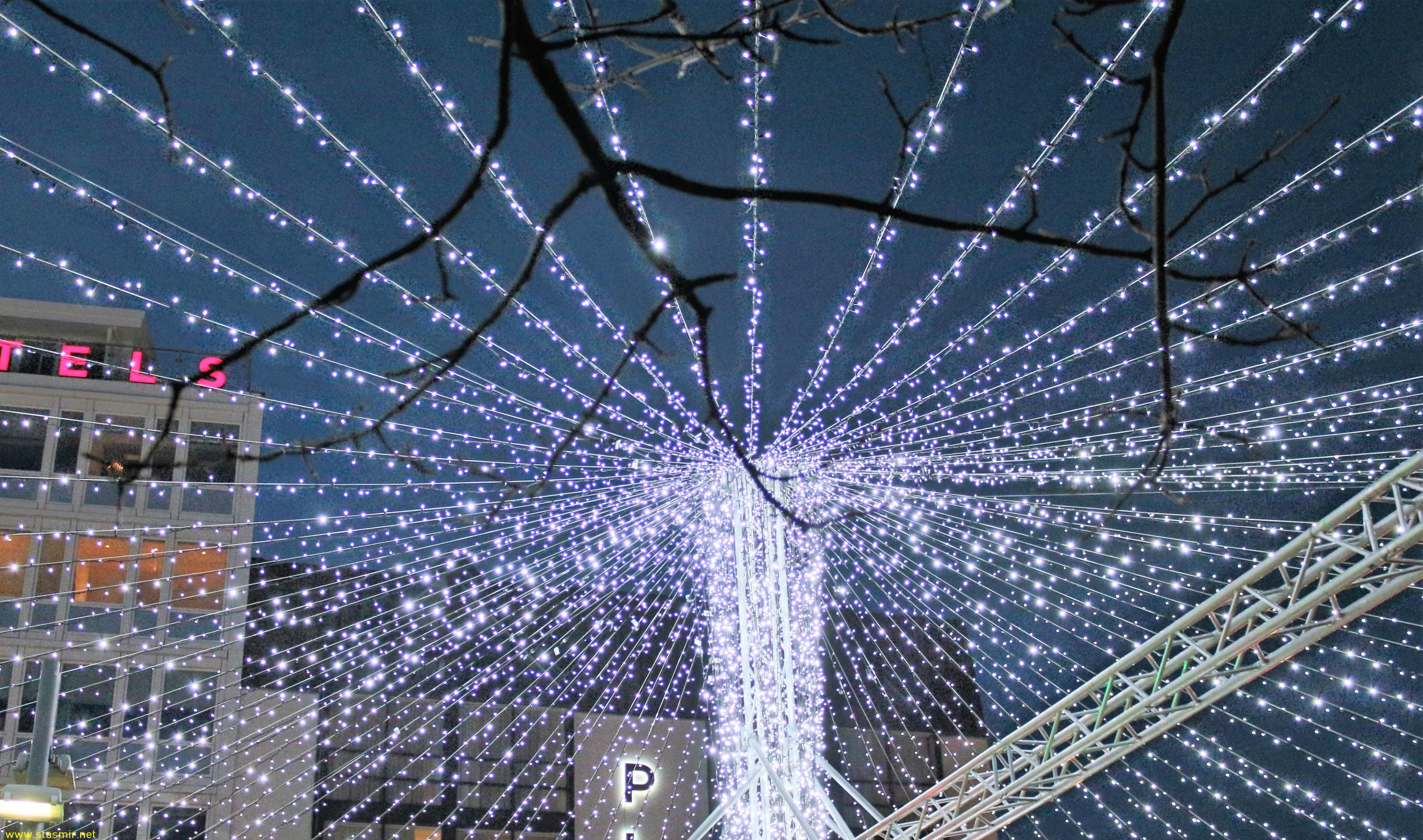 Йола-ёлкингЗачем возить ели?