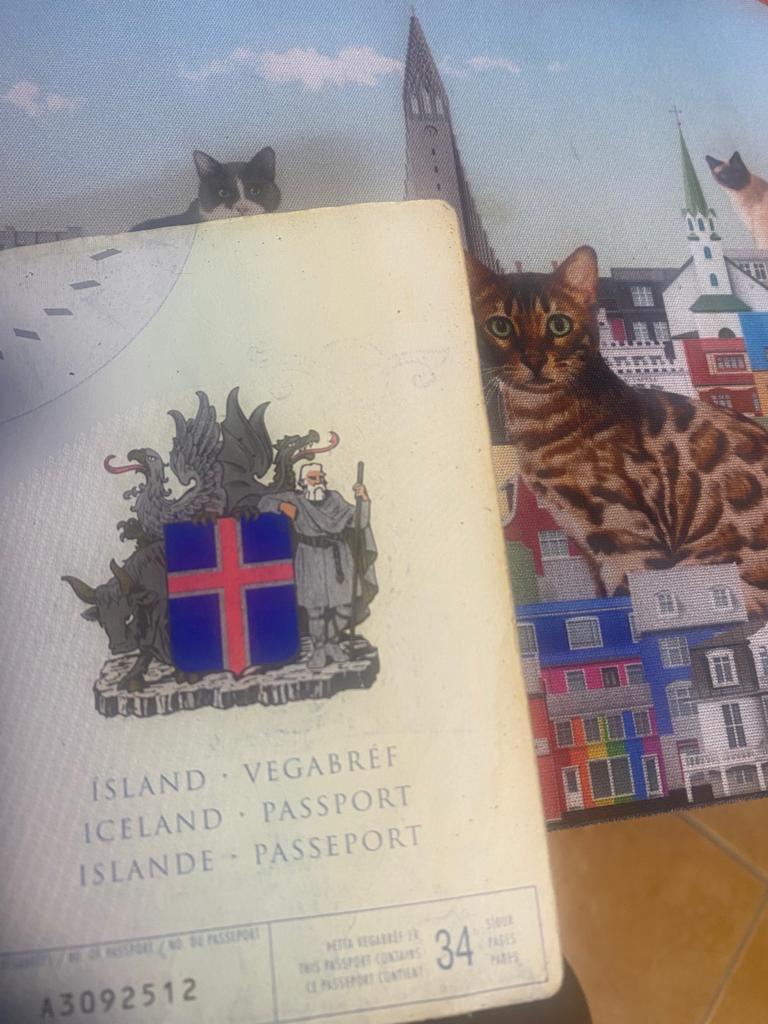 Быкасто-орластыйСтихи об исландском паспорте