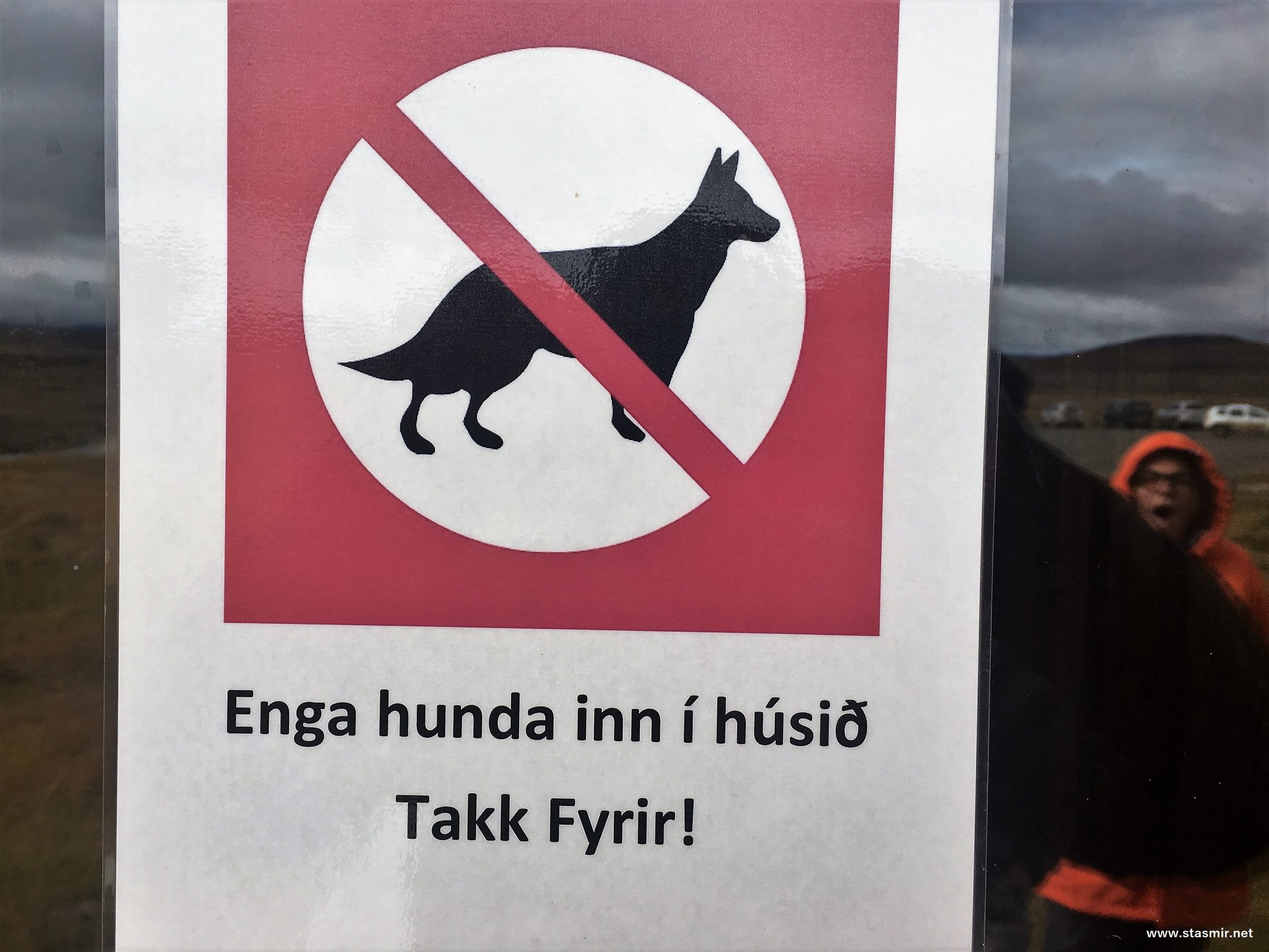 Вулкан, пёсик, сагафТоры и фториды