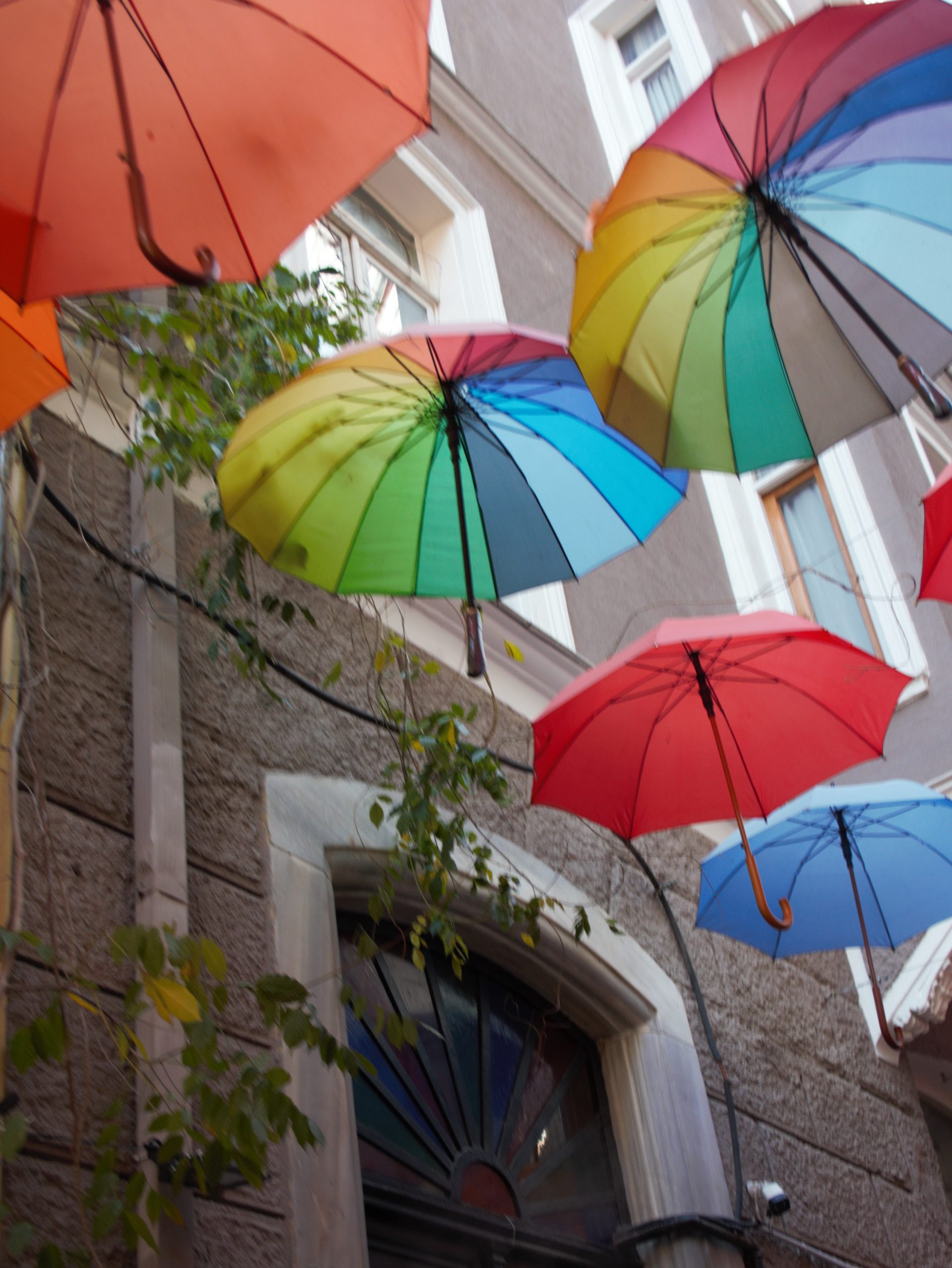 Зонтичные места для инстыТучи смотрят с высоты: рапускаются зонты!