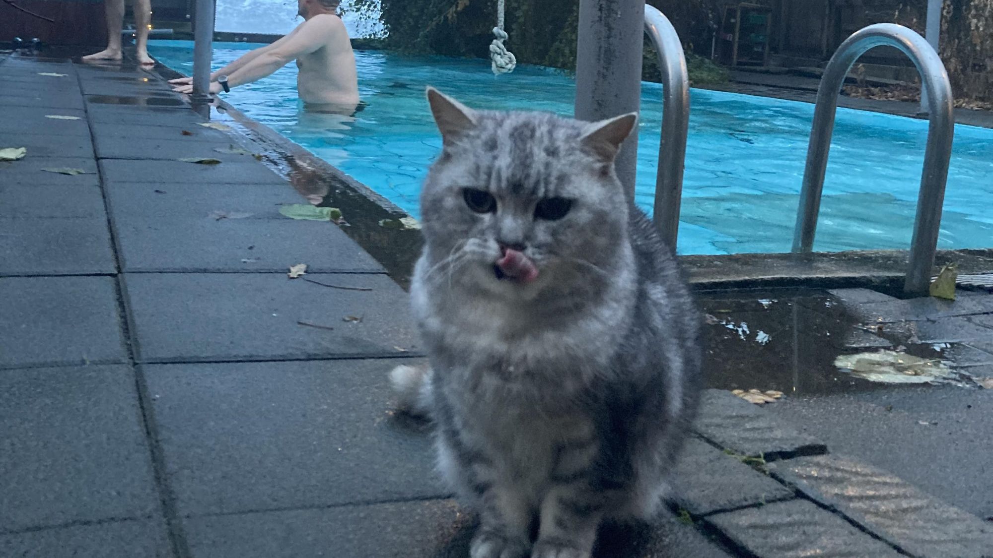 Где в Исландии новости?Сельский отель Heydalur и поэзия будней