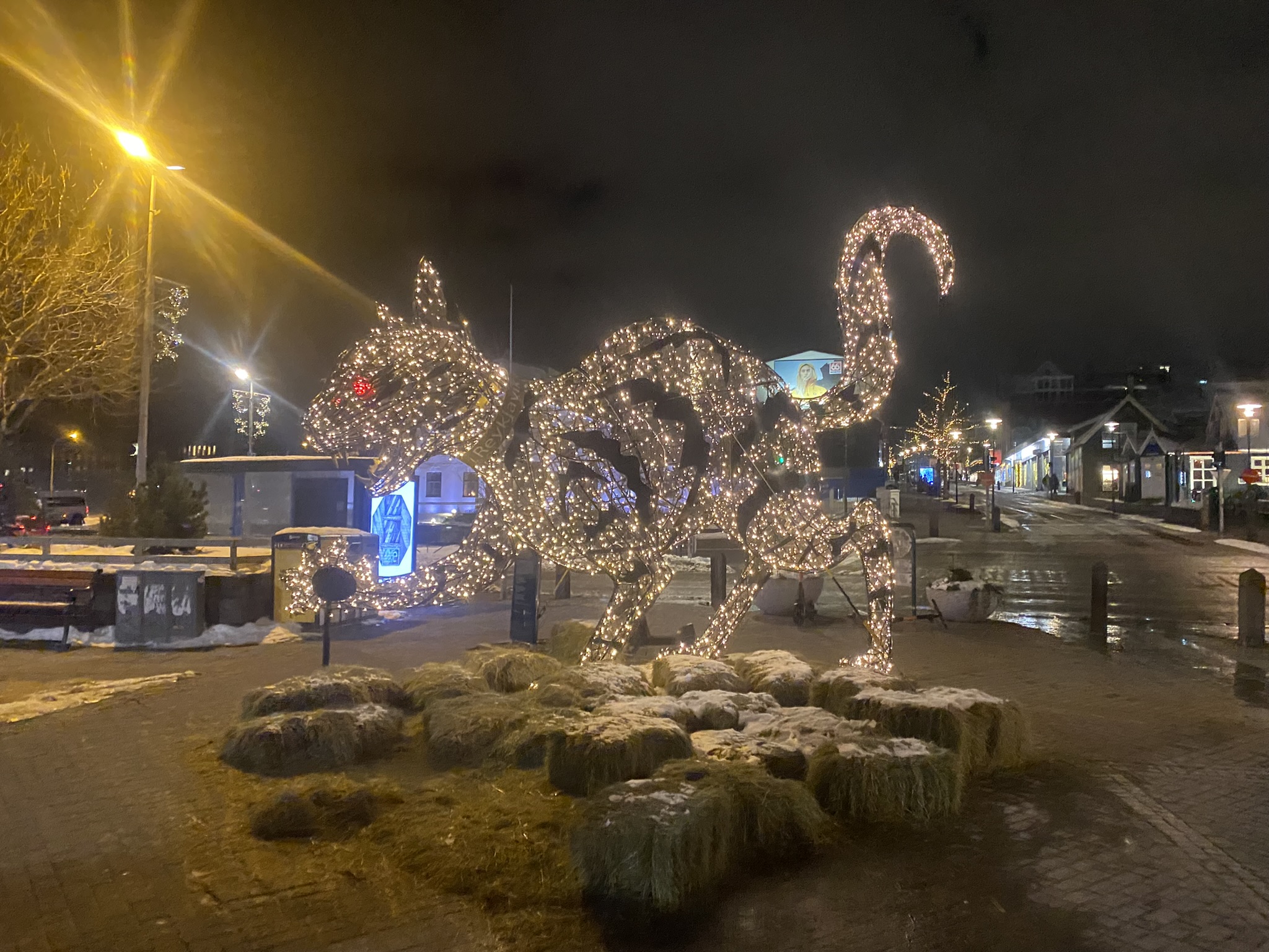 Бесполая грамматика в исландскомКак рыбаки стали рыбарями