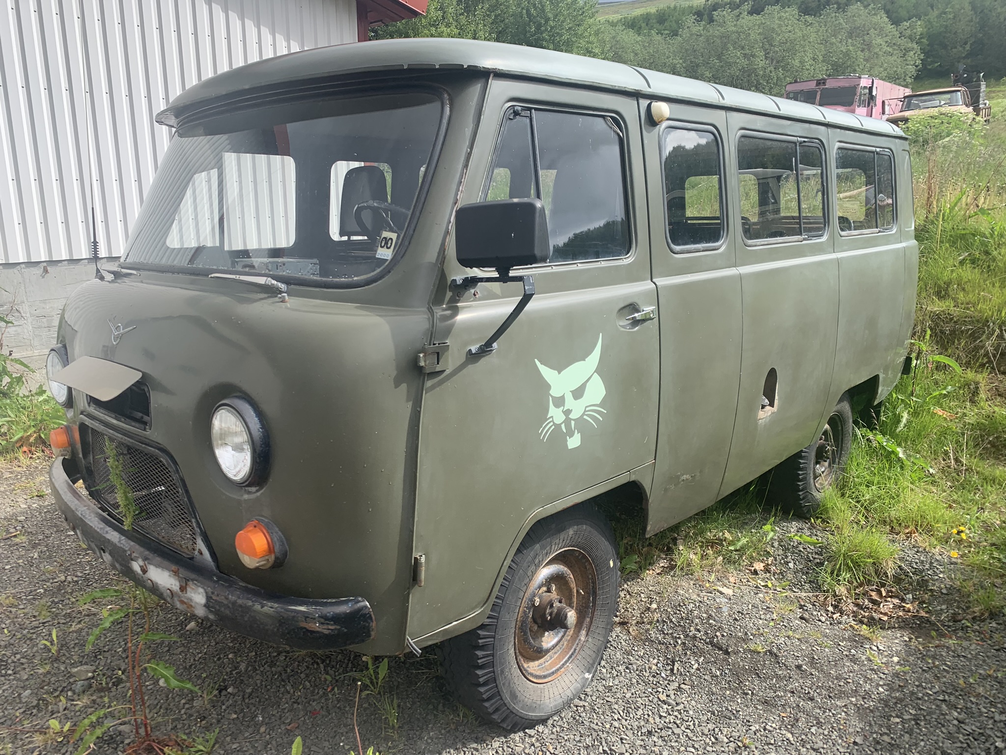 Акурецким котикам – воля!Кошки-ньюз