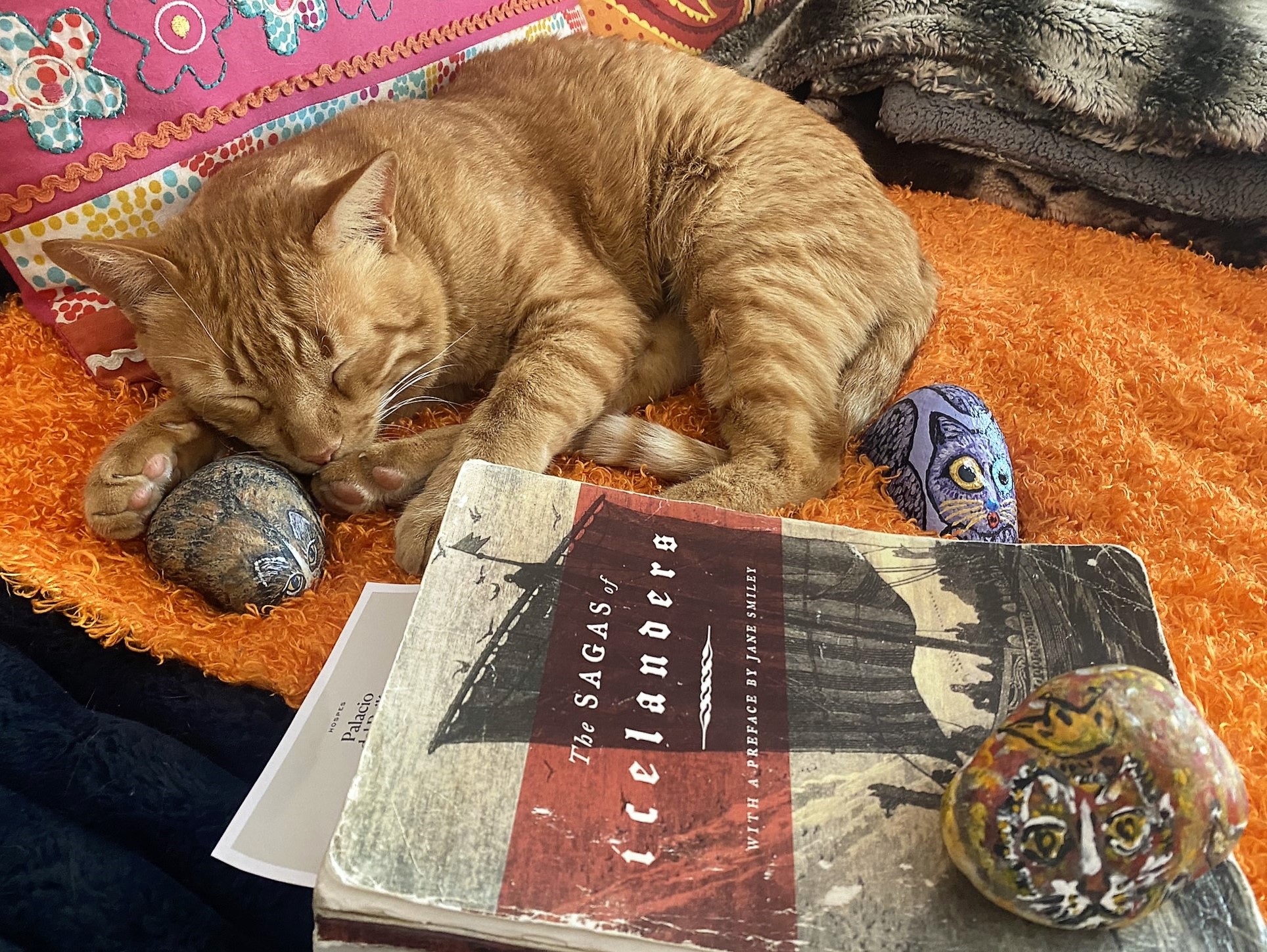 Кошки в исландских сагах18 викингов против 20 кошек